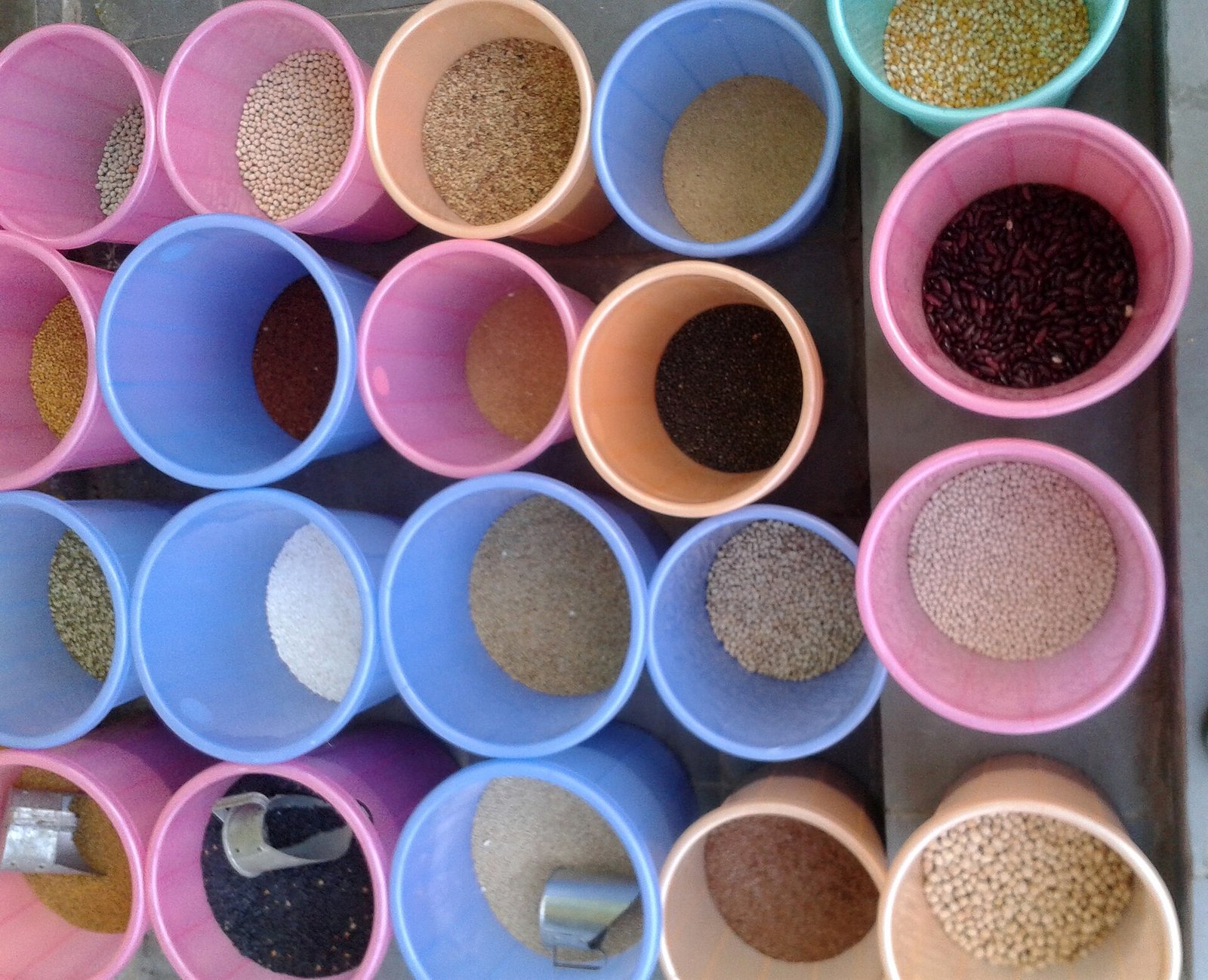 Indian spice market sourcing