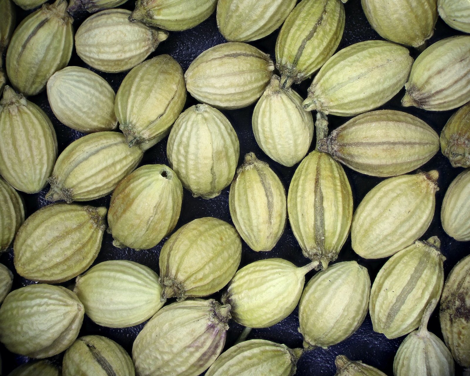 Coriander Powder and Seeds