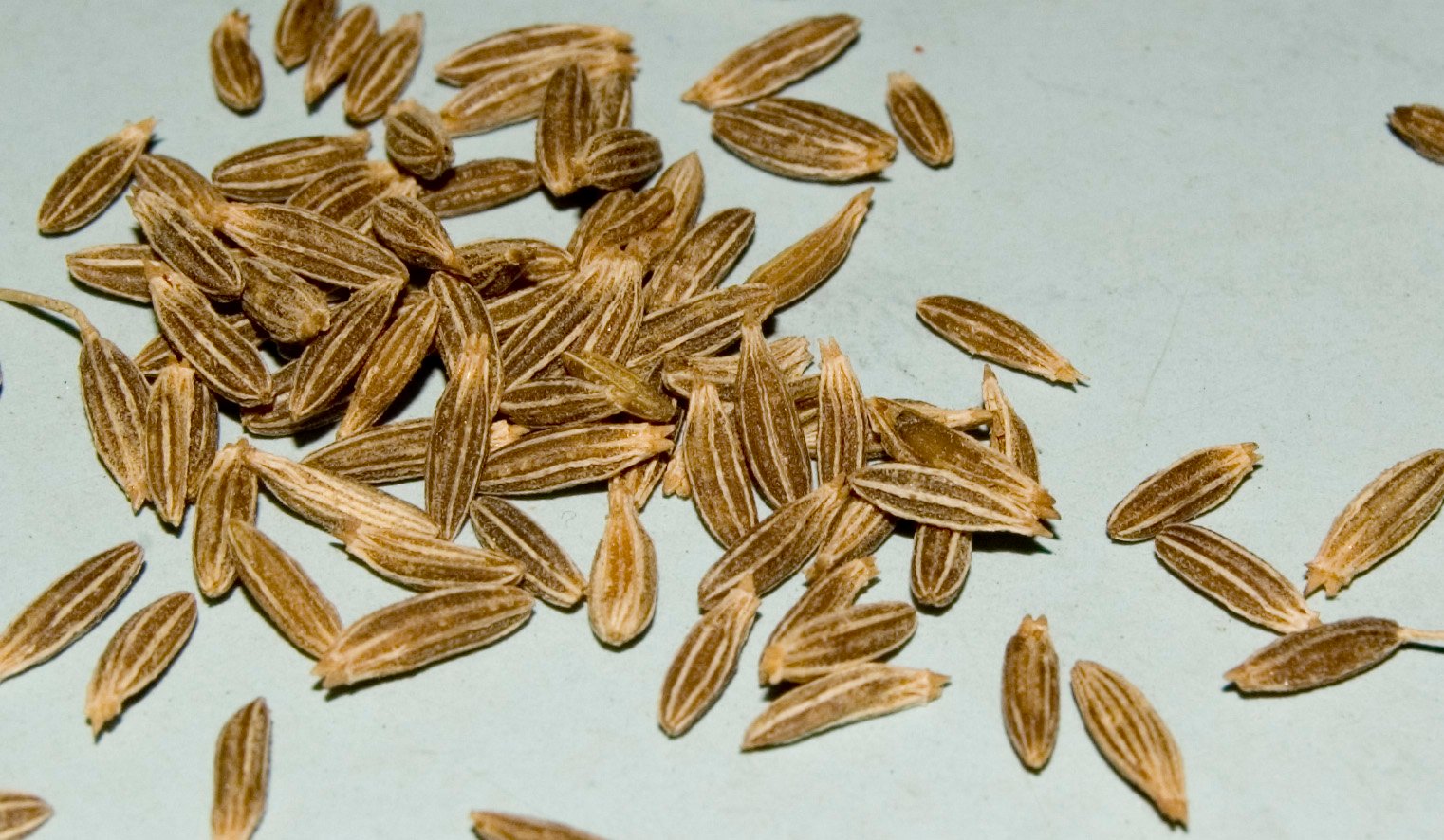 Coriander-Cumin Powder
