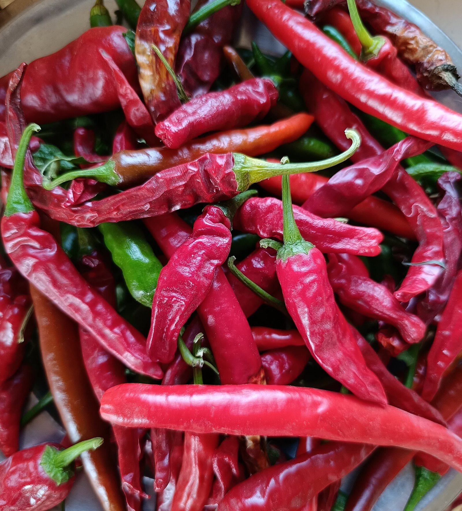 Premium dried red chillies