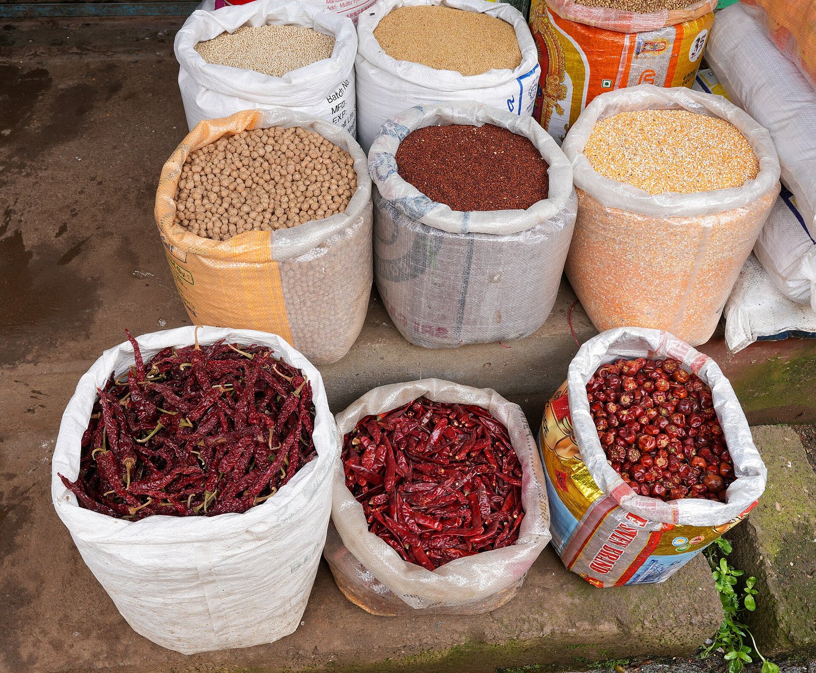 Red chillies at market, quality selection